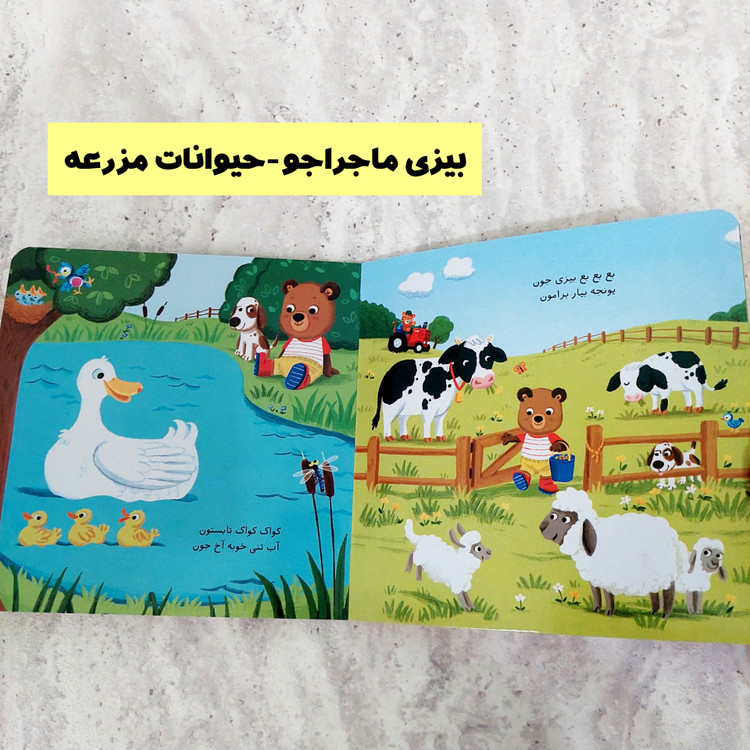 مجموعه کتاب های " بیزی ماجرا جو"