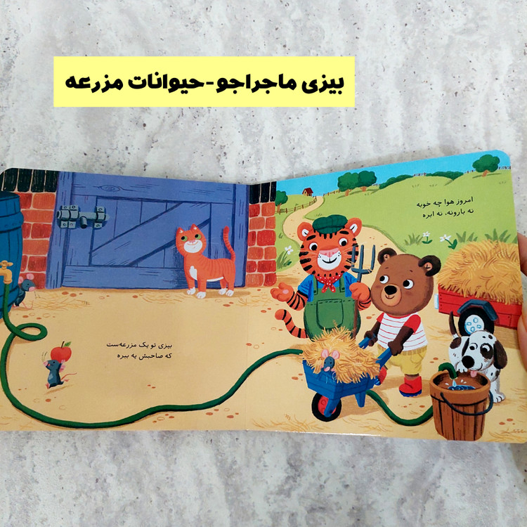 مجموعه کتاب های " بیزی ماجرا جو"
