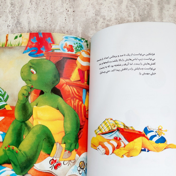کتاب فرانکلین شلخته است