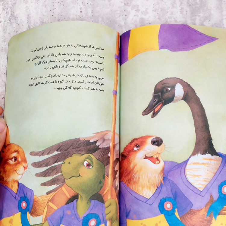 کتاب فرانکلین فوتبال بازی می کند