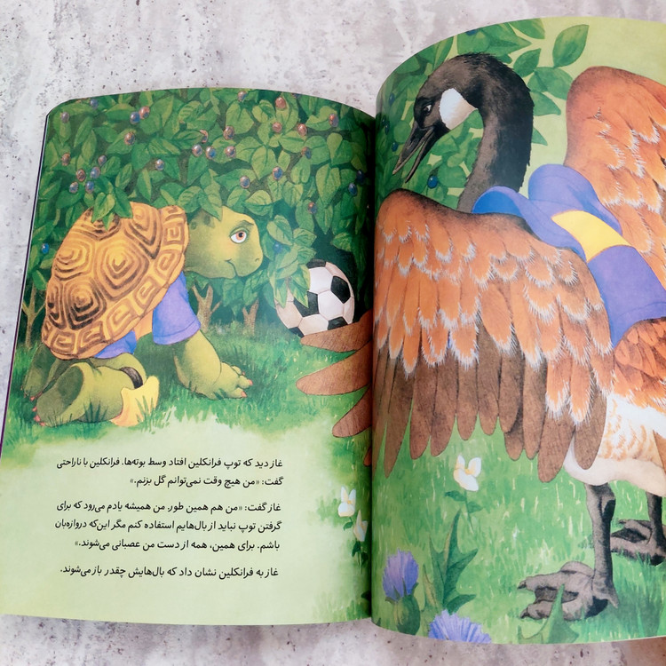 کتاب فرانکلین فوتبال بازی می کند