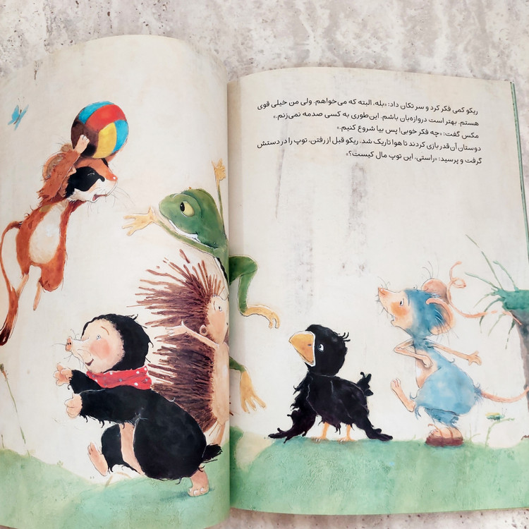 کتاب"یک توپ برای همه"