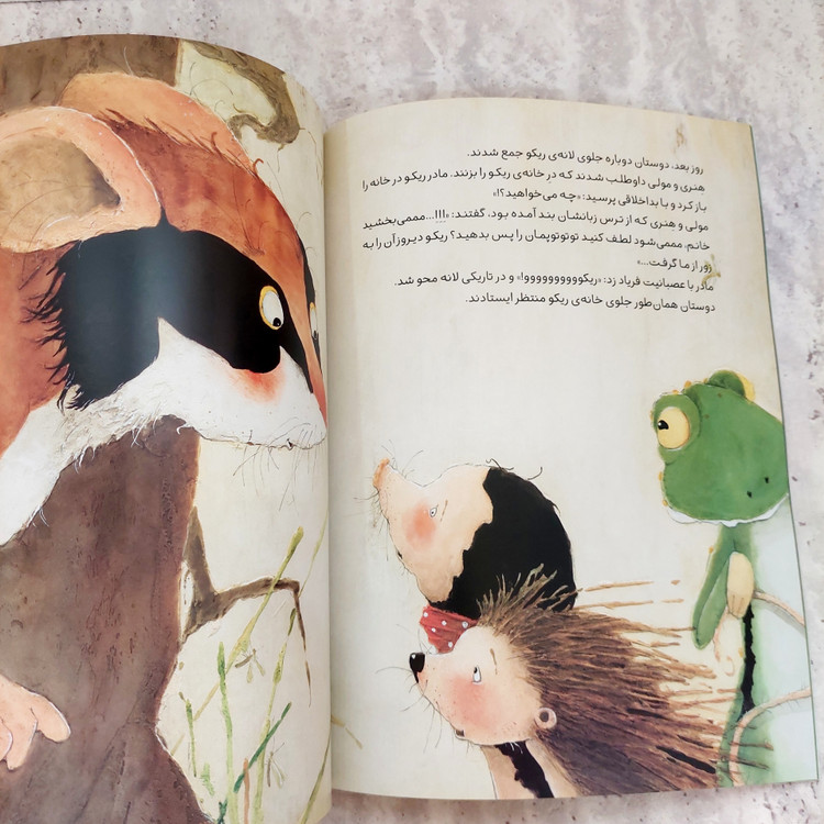 کتاب"یک توپ برای همه"