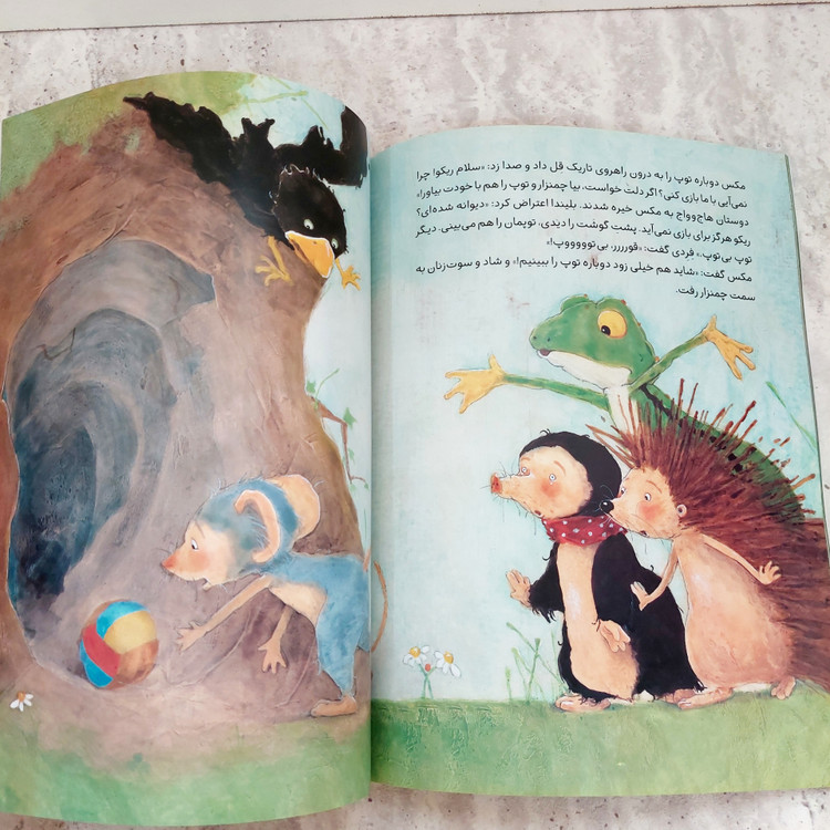 کتاب"یک توپ برای همه"