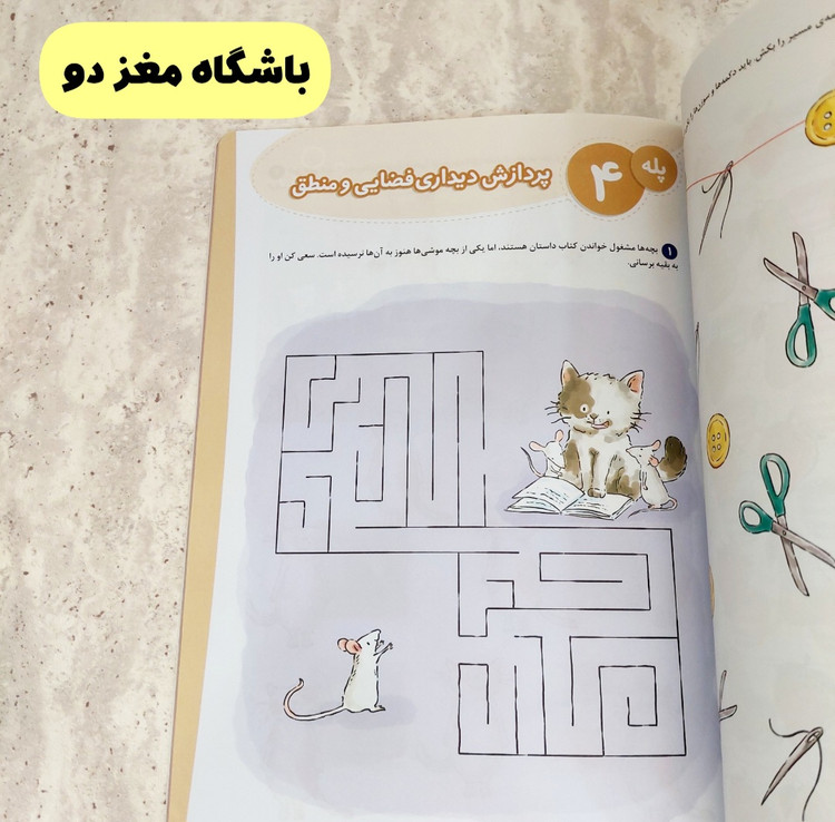 مجموعه کتاب های" باشگاه مغز کودکان"