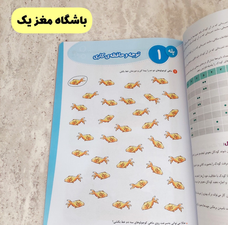 مجموعه کتاب های" باشگاه مغز کودکان"