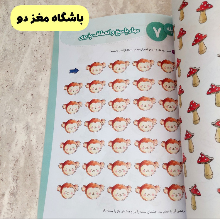مجموعه کتاب های" باشگاه مغز کودکان"