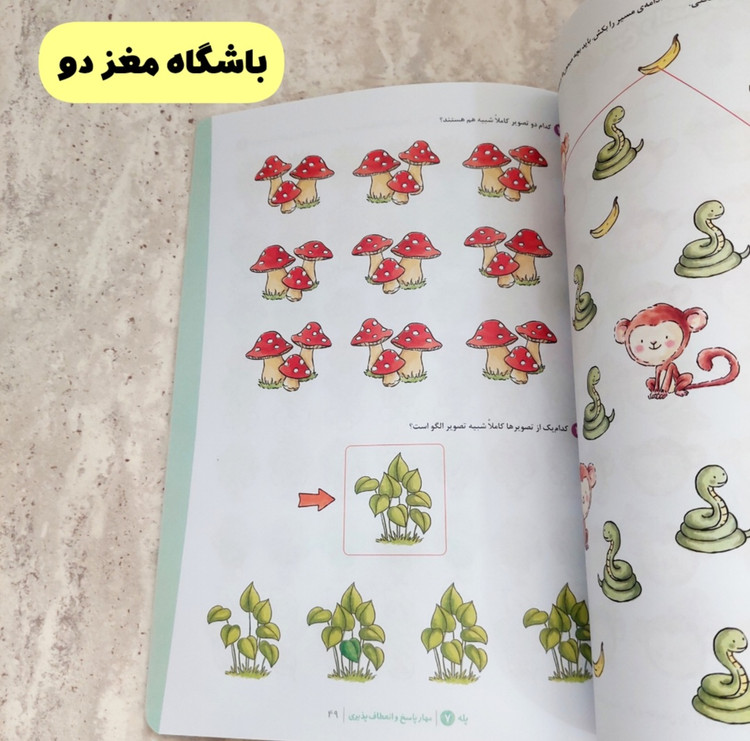 مجموعه کتاب های" باشگاه مغز کودکان"