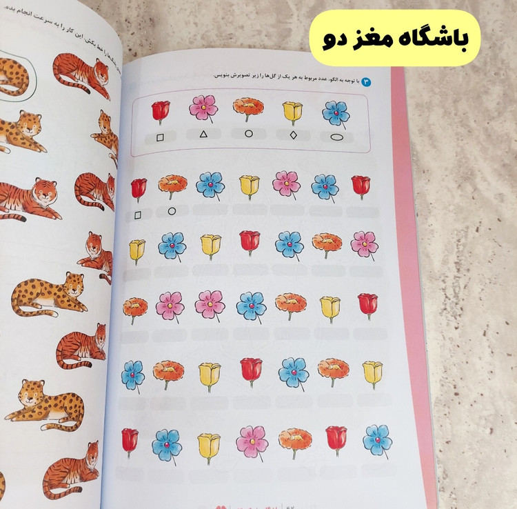 مجموعه کتاب های" باشگاه مغز کودکان"