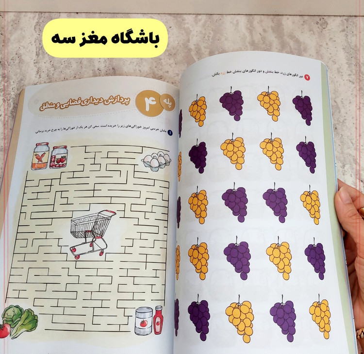 مجموعه کتاب های" باشگاه مغز کودکان"