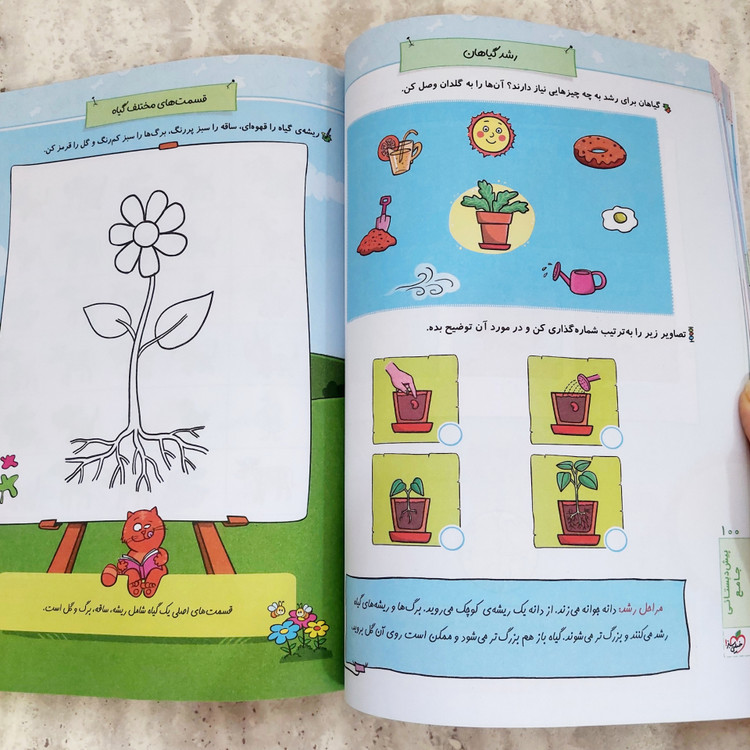 کتاب کار جامع پیش دبستانی خیلی سبز