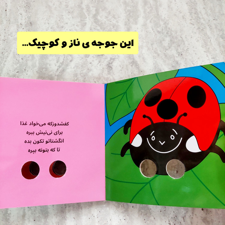 کتاب های شعر انگشتی