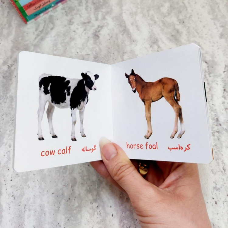 مجموعه ده جلدی" اولین کتابخانه ی من"