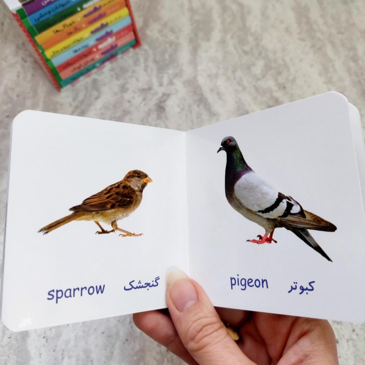 مجموعه ده جلدی" اولین کتابخانه ی من"