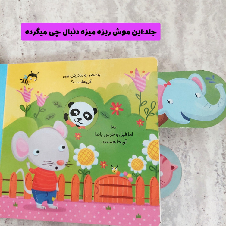 کتاب های کشویی"دنبال چی می گرده" -شهر قلم