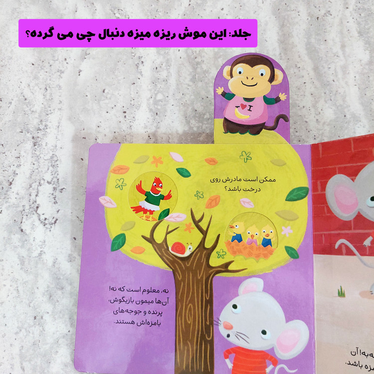 کتاب های کشویی"دنبال چی می گرده" -شهر قلم